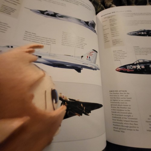 I Got A Tiny Alfred I Force Him To Learn Things