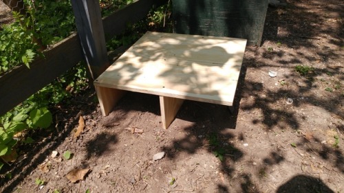anabantoidstozooanthids: Hey guys! I’m putting together an enclosure for box turtles at the lo