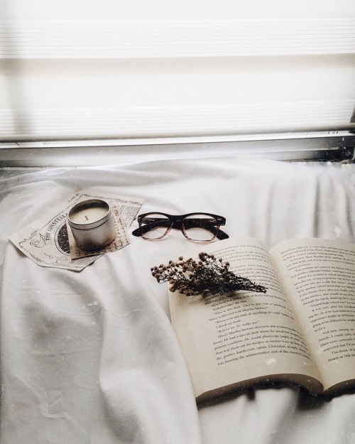 bookishfanboy: aesthetics ⛅️✨