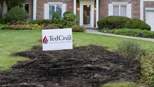 theonion:Scientists Warn All Plant Life Dying Within 30-Yard Radius Of Ted Cruz Campaign Signs