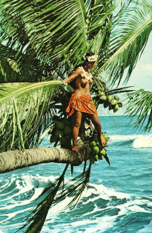 Porn photo sapta-loka:  1960s Tahiti 