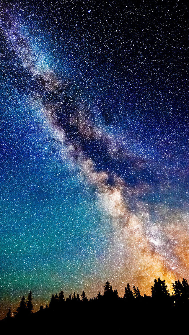 thelifepartners:Sometimes you just need to see the sky