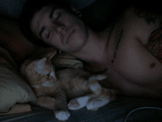 ken310851:  everyone’s taken and im like ‘i like cats more than human’ 