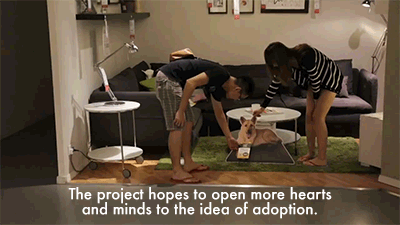 huffingtonpost:  IKEA ADVERTISES ADOPTABLE DOGS IN STORES, BECAUSE EVERY HOME NEEDS