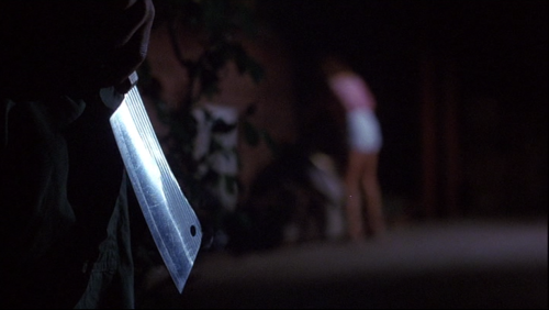 hopelessdinosaurs:  Slumber Party Massacre 1982