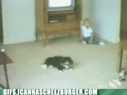 I just feel so run down right now...