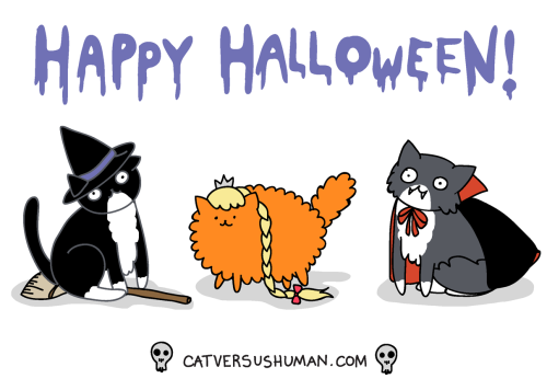 catversushuman: Happy Halloween, Tumblr :3