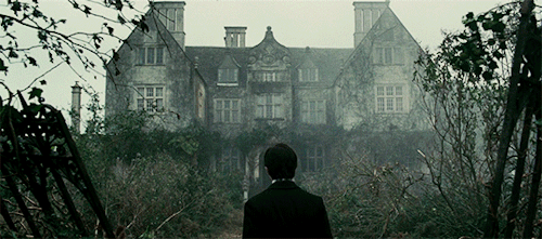 potionsmasters:AU: 5 years after The Battle of Hogwarts, Harry Potter, now head auror, decides to vi