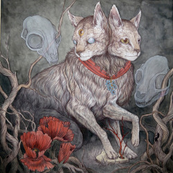 pixography:Caitlin Hackett ~ “Forget Me Not”