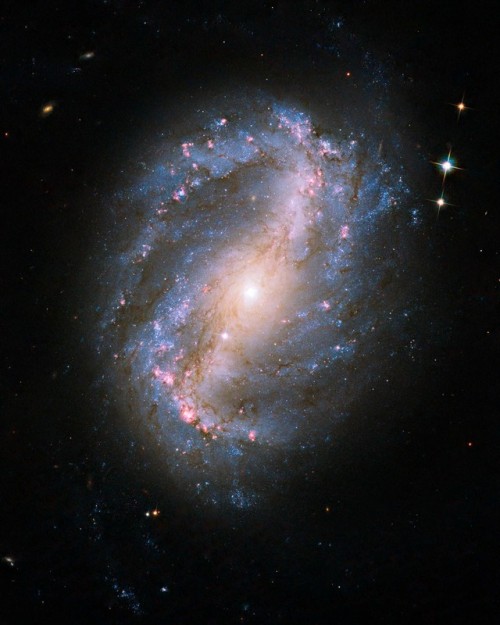 just–space:Barred spiral galaxy NGC 6217 js