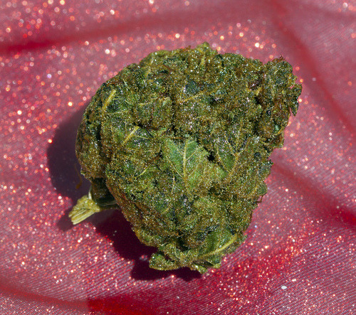 OG GLITTERCOCAINE
