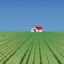 viaskillet
