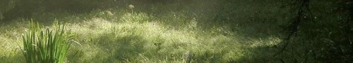 Soft Like Clouds Chap 1
