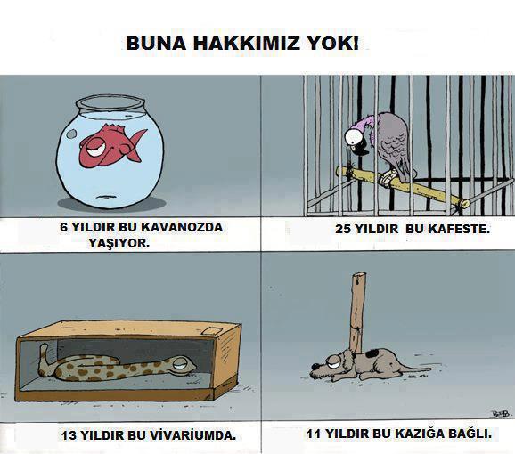 Bi Parça Gökyüzü