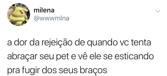 seu-bobo-da-corte: