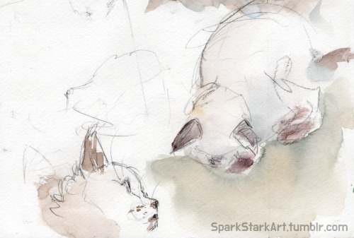 sparkstarkart