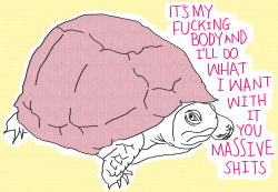 mormondad:  This turtle really speaks to