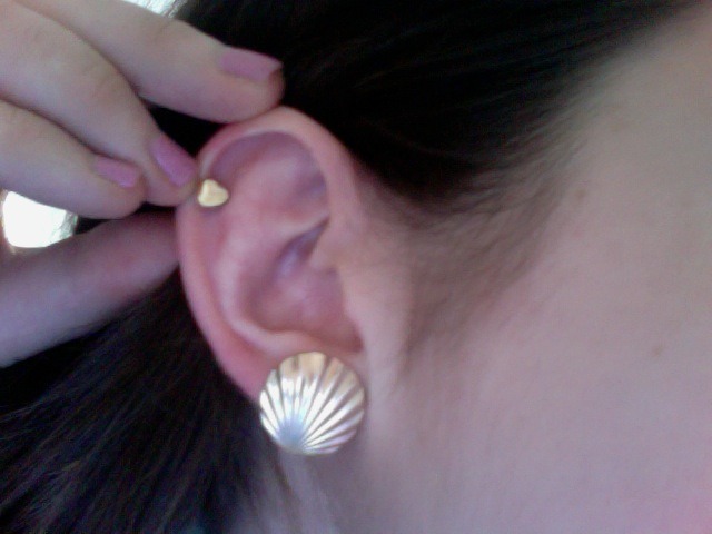 pale-corpse:  shell and heart :’) 