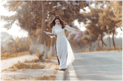  Vietnamese long dress (Ao dai) bởi Beauty Collection Qua Flickr: Photo backup https://flic.kr/s/aHs