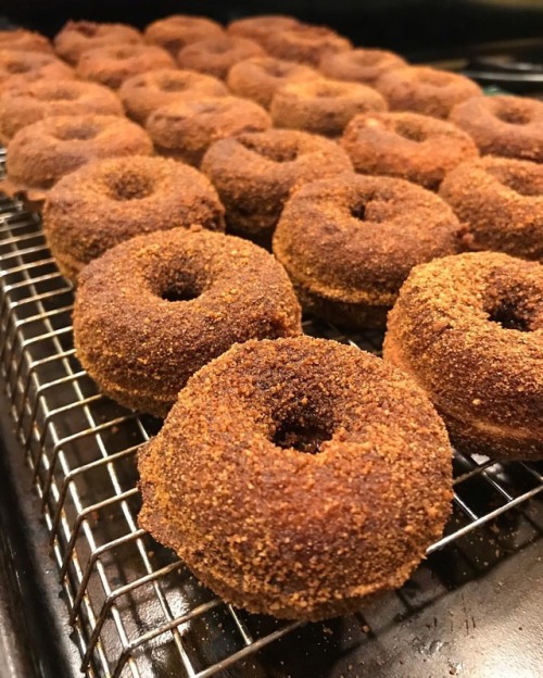 Paleo Apple Cider Donuts. Just another Saturday night during the #Open. #hwpo #crossfit #crossfitwic