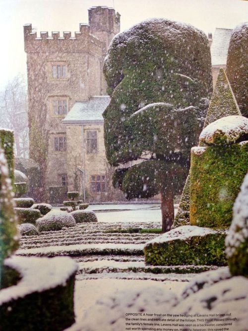 motherlanduk:(via (199) Winter garden | England, Ireland, Scotland | Pinterest)