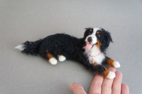 A needle felted Bernese Mountain dog based on photos.  Have a peaceful weekend!