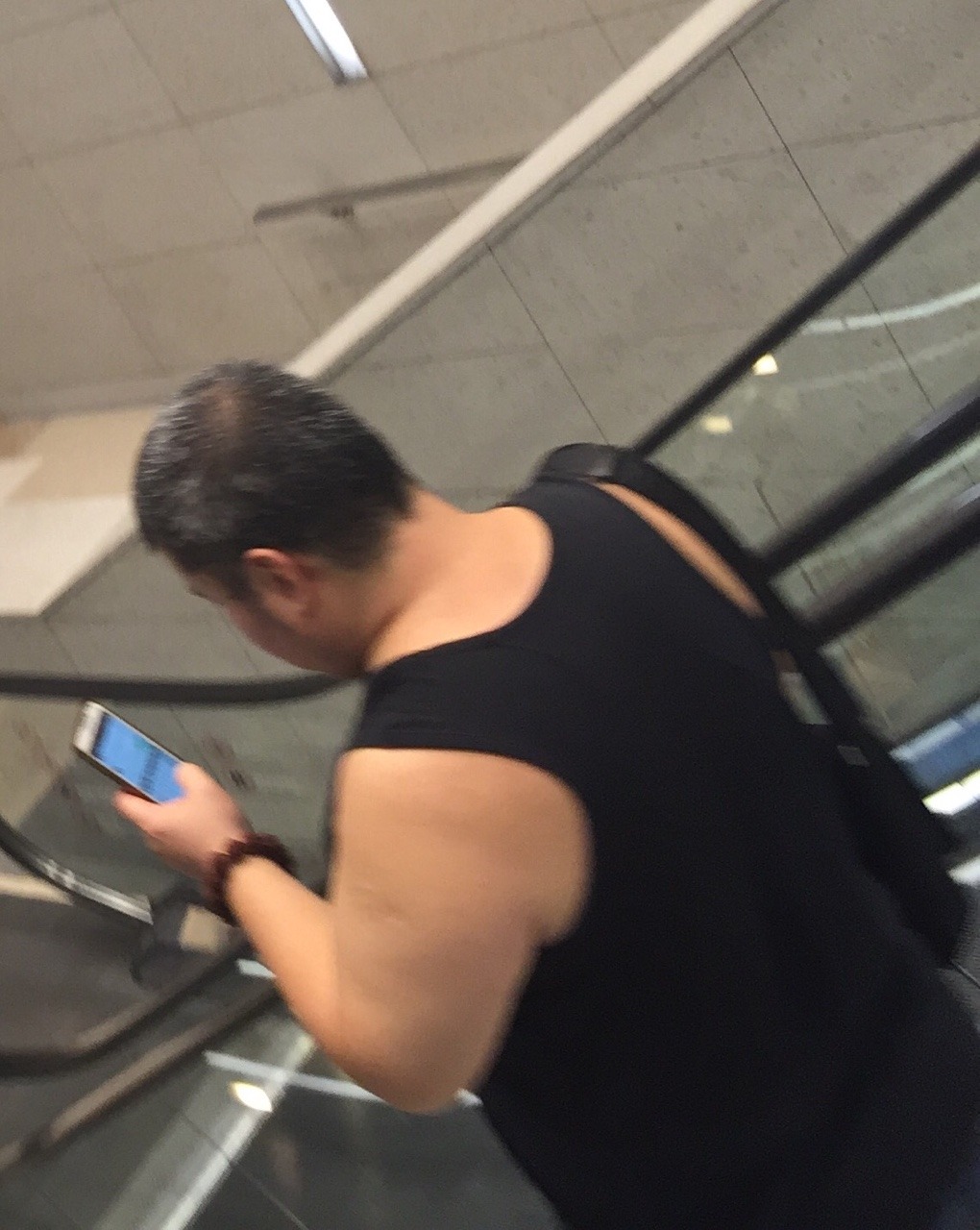 CN bear in Public 熊
