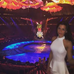 meanwhileinvegas:  ⚡️ LE REVE- THE DREAM