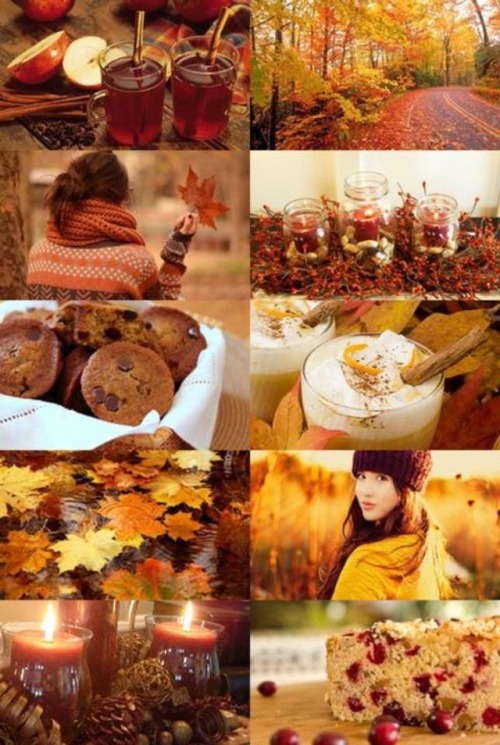 autumnal-experience - Can’t wait…My favorite time of year