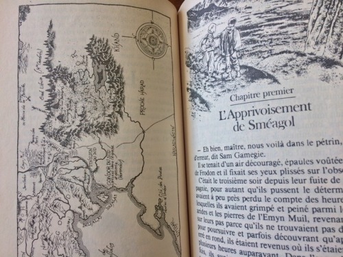 hedgehoginthesun:A few photos of my childhood/teenage copy of Lord of the Rings, along with the cool