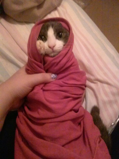 tiny-librarian:the-world-turning:dreamingofcossackia:the-world-turning:Sometimes I make a Georgie bu
