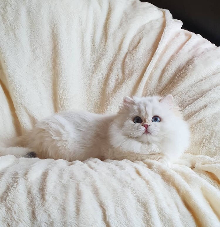 gabytaangeles: Adorable … 