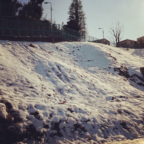 袋町公園にいます