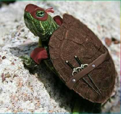 daddyxsporcelaindoll:  xdesignflawsx:  Awwwh!     Lookie Sweets is Ninja Turtle *giggles*