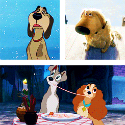 Happy National Dog Day! (August 26th 2015)