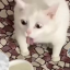 msjacksonsleftlabialip