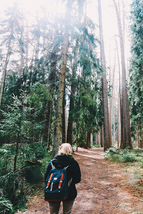 moon-waves: natureac: Nature Blog -nature&amp;positivity-