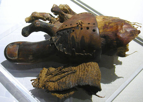 corporisfabrica: The earliest known prosthesis, a toe from ancient Egypt. Dating back to the pe