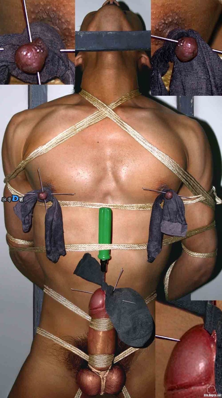 nipperect:  kyrbrlvr:  kicksforpigs:  cutterdude:  I’ll say it again, pain, pain…
