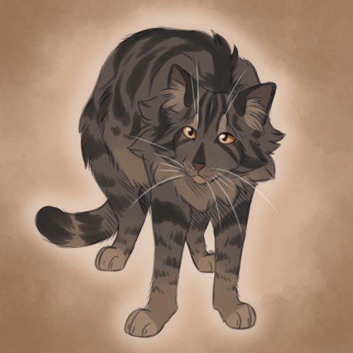 Slugs genetically accurate cats — Tigerstar 2 (Classic black tabby with low  white