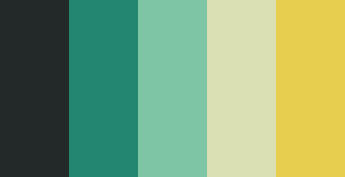 color-palettes:Firefly Orchestra - Submittedby SeesawSiya#232929 #238671 #7ec5a5 #dae0b4 #e7ce4f