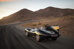 desertmotors:  Jaguar D-Type Works ‘Long