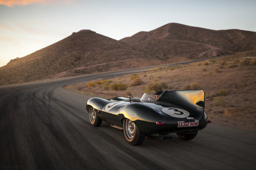 desertmotors:  Jaguar D-Type Works ‘Long Nose’   Beautiful…