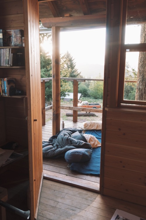 sunflower-mama:  thecindercone:  Waking up on the back porch  Mmmmm yes 