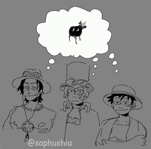 None Of The Asl Brothers Look Like They Have Any Thoughts Behind Their Eyes Beyond TV Static 