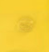 wonton-solo:  wander-to-the-stars-above:  petehix:  chrisdemaraisofficial:  transposing:  milkti:  lidstrom:  pyreclaws:  masato-indou:  whittacker:  39 mega pixel photo of a burger   I can see the goddamn cell walls in the onion holy fucking shit   wait