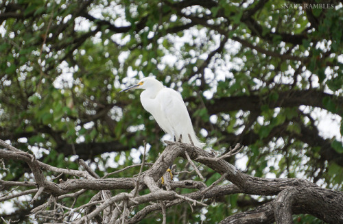  Photos from kayaking today. It was a beautifully overcast day, and I’m happy with how some of