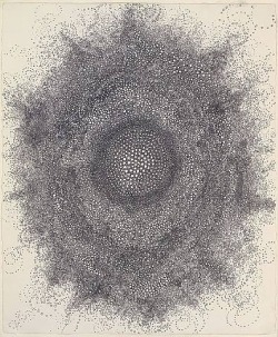 theuniversemocksme:  Hiroyuki Doi / Sacred Geometry 