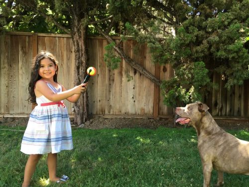 nertburger:small-home-repair-vikings:odditymall:The Pooch Selfie is a ball holder for your smart pho