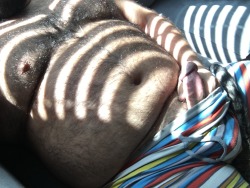 electricubby: Stripes.